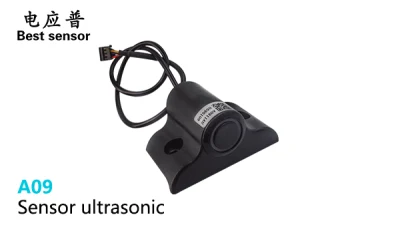 Sensore di livello a ultrasuoni Dyp-A09 per la gestione del sistema del veicolo con metodi di uscita multipli e cella di carico ad alte prestazioni